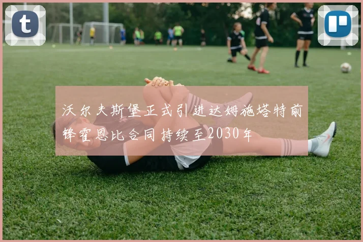 沃尔夫斯堡正式引进达姆施塔特前锋霍恩比合同持续至2030年