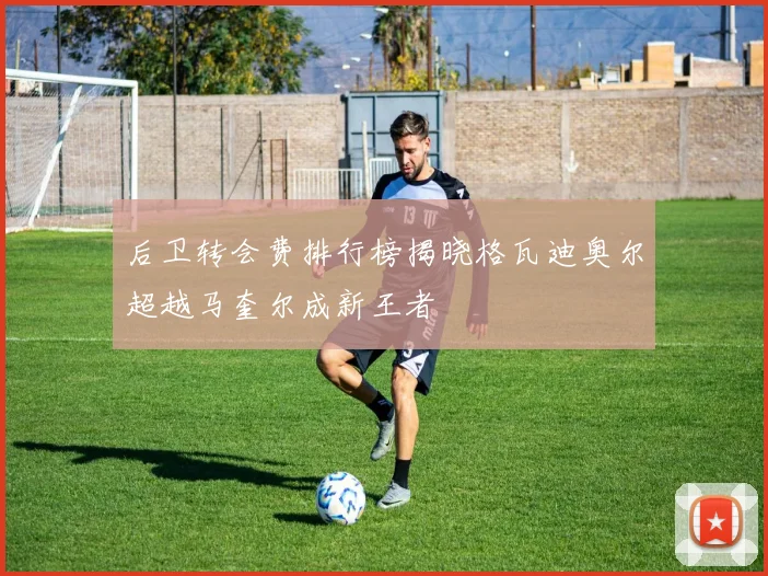 后卫转会费排行榜揭晓格瓦迪奥尔超越马奎尔成新王者